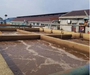 出水氨氮大于進水氨氮，怎么回事？