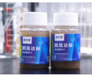 生化系統崩潰，氨氮超標，我該怎么辦?