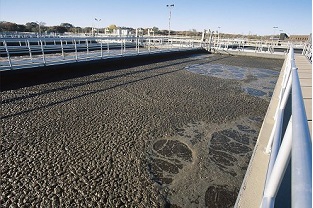 【干貨】泥齡導致的氨氮超標？那這種情況該如何處理呢？